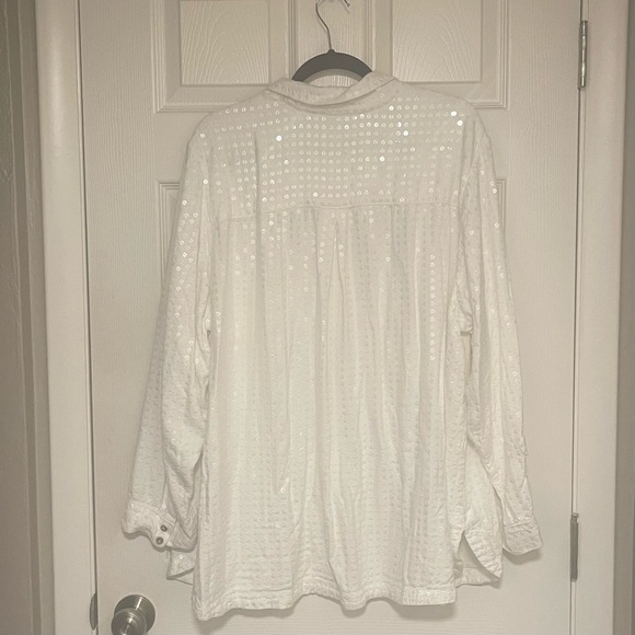 Pilcro James Sequined Tunic (Anthropologie) - Picture 6 of 6